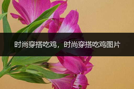 时尚穿搭吃鸡，时尚穿搭吃鸡图片