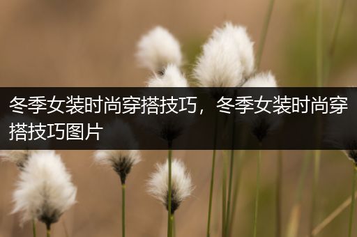 冬季女装时尚穿搭技巧，冬季女装时尚穿搭技巧图片