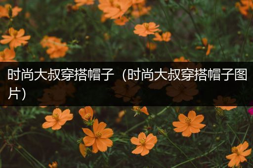 时尚大叔穿搭帽子（时尚大叔穿搭帽子图片）