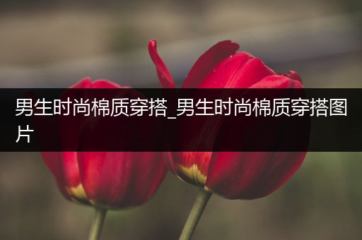 男生时尚棉质穿搭_男生时尚棉质穿搭图片