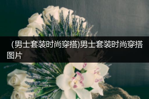 （男士套装时尚穿搭)男士套装时尚穿搭图片