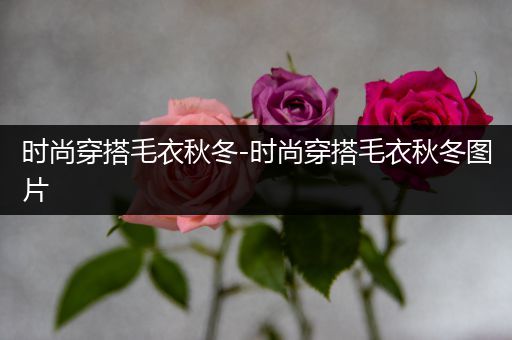 时尚穿搭毛衣秋冬-时尚穿搭毛衣秋冬图片