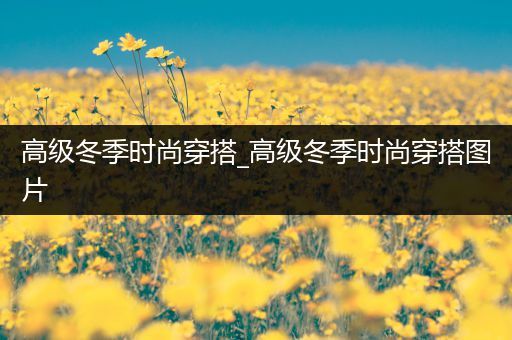 高级冬季时尚穿搭_高级冬季时尚穿搭图片