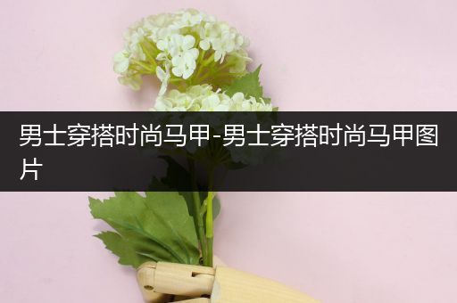 男士穿搭时尚马甲-男士穿搭时尚马甲图片