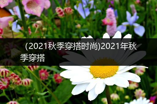 （2021秋季穿搭时尚)2021年秋季穿搭