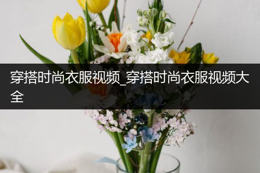 穿搭时尚衣服视频_穿搭时尚衣服视频大全