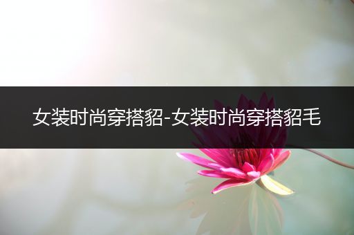 女装时尚穿搭貂-女装时尚穿搭貂毛