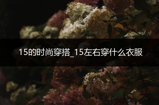 15的时尚穿搭_15左右穿什么衣服