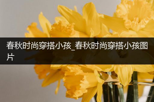 春秋时尚穿搭小孩_春秋时尚穿搭小孩图片