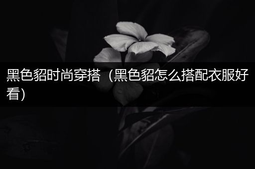 黑色貂时尚穿搭（黑色貂怎么搭配衣服好看）