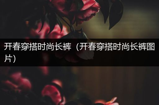 开春穿搭时尚长裤（开春穿搭时尚长裤图片）