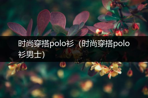 时尚穿搭polo衫（时尚穿搭polo衫男士）