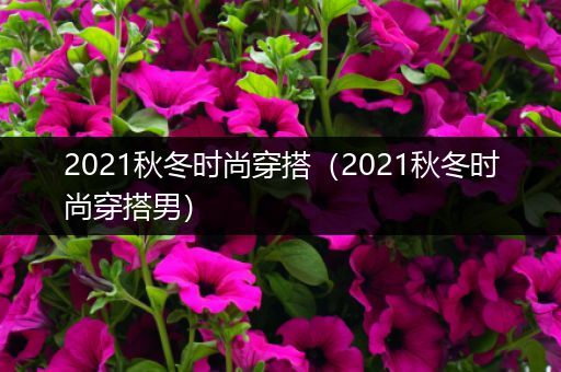 2021秋冬时尚穿搭（2021秋冬时尚穿搭男）