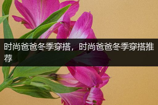 时尚爸爸冬季穿搭，时尚爸爸冬季穿搭推荐