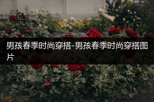 男孩春季时尚穿搭-男孩春季时尚穿搭图片