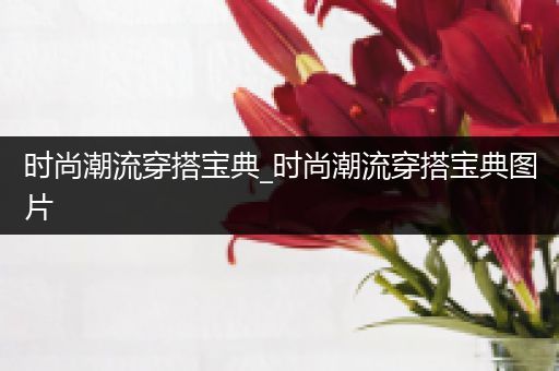 时尚潮流穿搭宝典_时尚潮流穿搭宝典图片