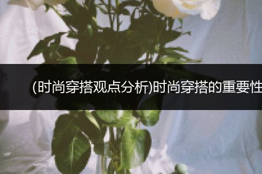 （时尚穿搭观点分析)时尚穿搭的重要性