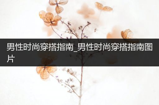 男性时尚穿搭指南_男性时尚穿搭指南图片