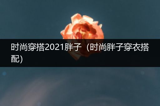 时尚穿搭2021胖子（时尚胖子穿衣搭配）