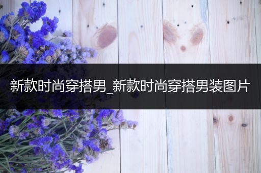 新款时尚穿搭男_新款时尚穿搭男装图片