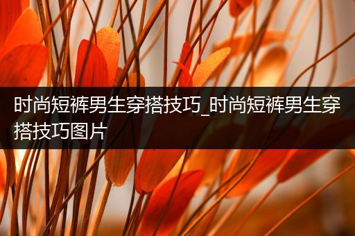 时尚短裤男生穿搭技巧_时尚短裤男生穿搭技巧图片