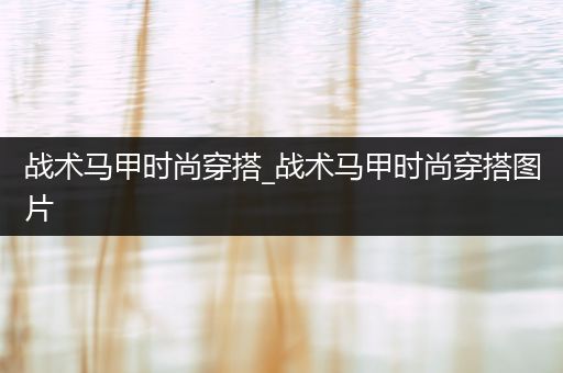 战术马甲时尚穿搭_战术马甲时尚穿搭图片