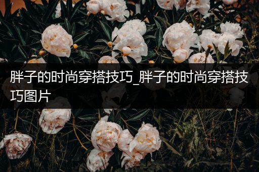 胖子的时尚穿搭技巧_胖子的时尚穿搭技巧图片