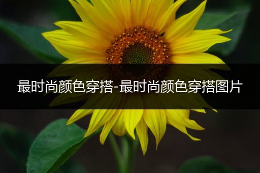 最时尚颜色穿搭-最时尚颜色穿搭图片