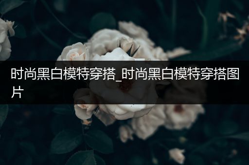 时尚黑白模特穿搭_时尚黑白模特穿搭图片