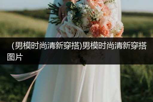 （男模时尚清新穿搭)男模时尚清新穿搭图片