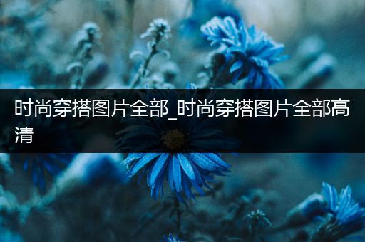 时尚穿搭图片全部_时尚穿搭图片全部高清