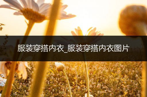 服装穿搭内衣_服装穿搭内衣图片