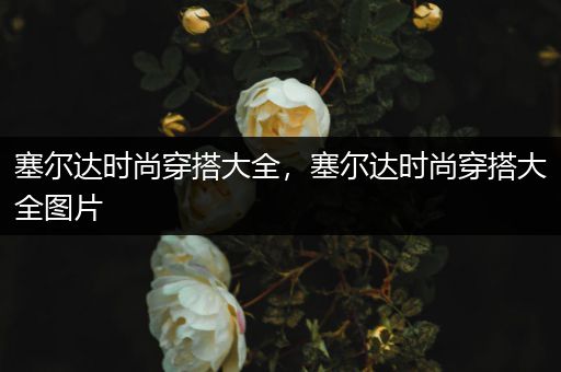 塞尔达时尚穿搭大全，塞尔达时尚穿搭大全图片