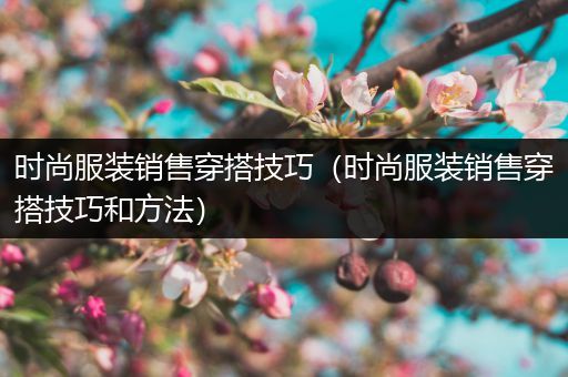 时尚服装销售穿搭技巧（时尚服装销售穿搭技巧和方法）