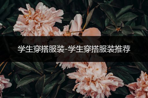 学生穿搭服装-学生穿搭服装推荐