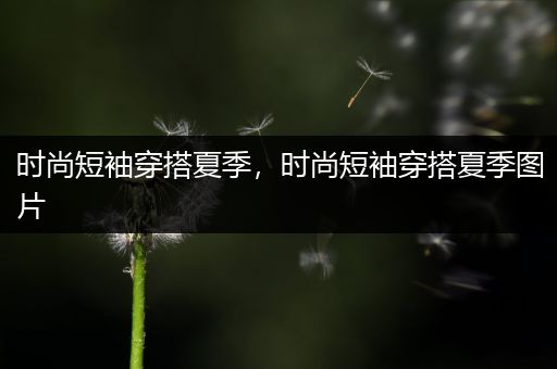 时尚短袖穿搭夏季，时尚短袖穿搭夏季图片