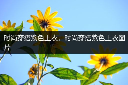 时尚穿搭紫色上衣，时尚穿搭紫色上衣图片