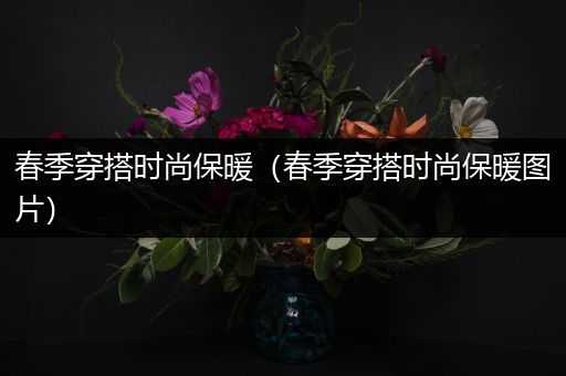 春季穿搭时尚保暖（春季穿搭时尚保暖图片）