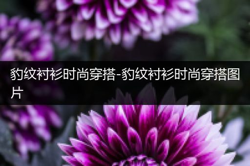 豹纹衬衫时尚穿搭-豹纹衬衫时尚穿搭图片