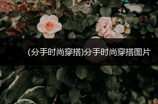 （分手时尚穿搭)分手时尚穿搭图片