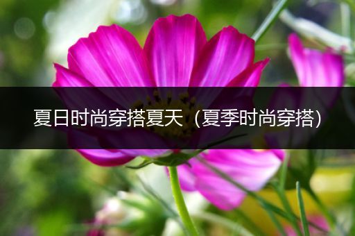 夏日时尚穿搭夏天（夏季时尚穿搭）