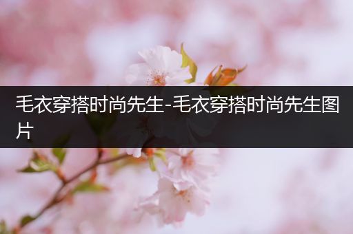 毛衣穿搭时尚先生-毛衣穿搭时尚先生图片