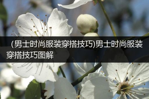 （男士时尚服装穿搭技巧)男士时尚服装穿搭技巧图解