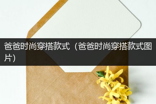 爸爸时尚穿搭款式（爸爸时尚穿搭款式图片）