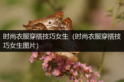 时尚衣服穿搭技巧女生（时尚衣服穿搭技巧女生图片）