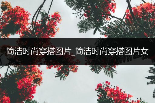 简洁时尚穿搭图片_简洁时尚穿搭图片女