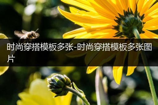 时尚穿搭模板多张-时尚穿搭模板多张图片