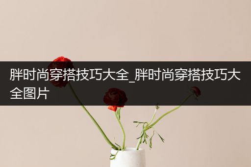 胖时尚穿搭技巧大全_胖时尚穿搭技巧大全图片