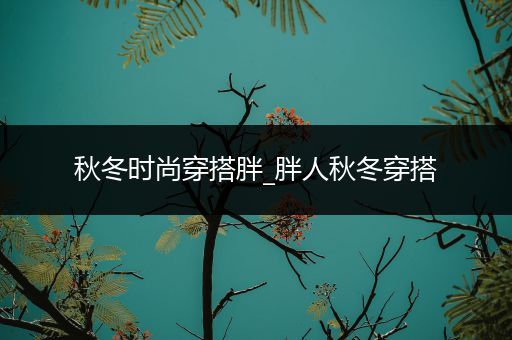 秋冬时尚穿搭胖_胖人秋冬穿搭