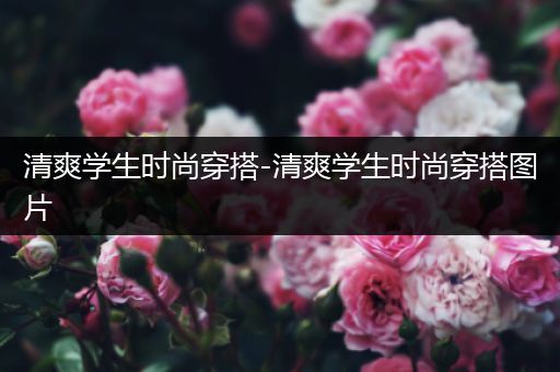 清爽学生时尚穿搭-清爽学生时尚穿搭图片